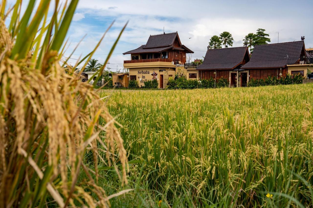 Barong Bali Villas Ubud  Bagian luar foto