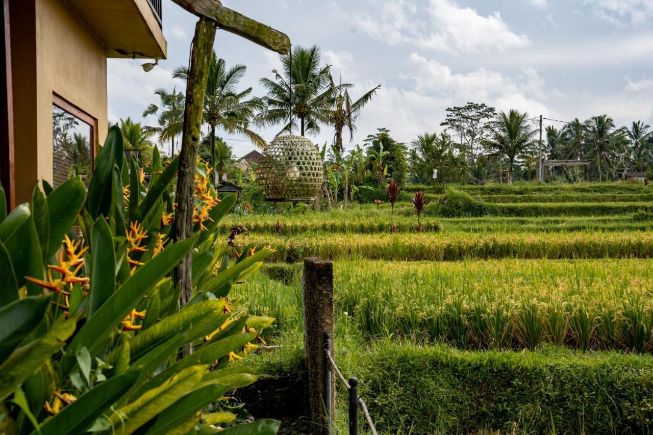 Barong Bali Villas Ubud  Bagian luar foto